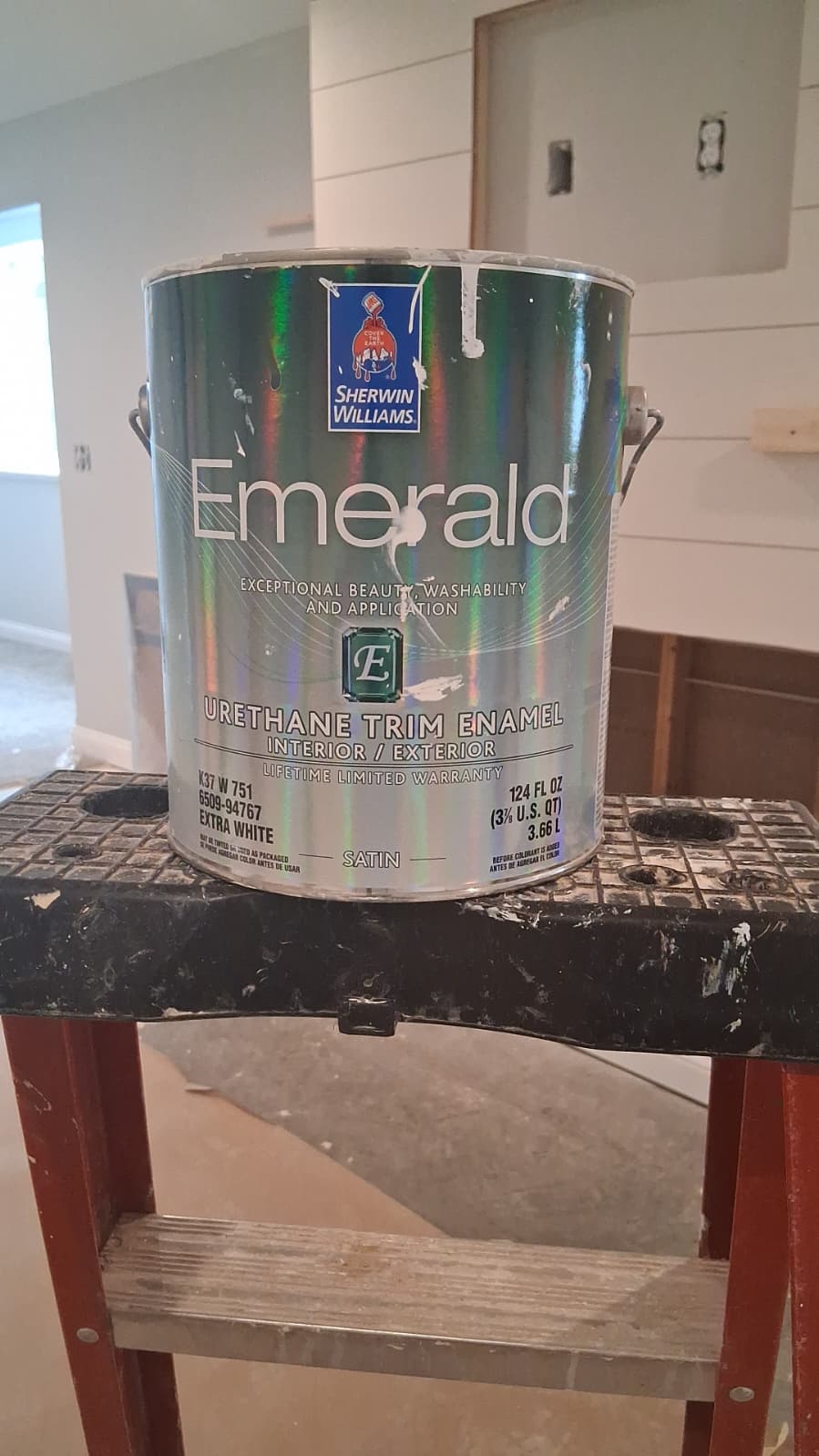 Detailed interior painting work